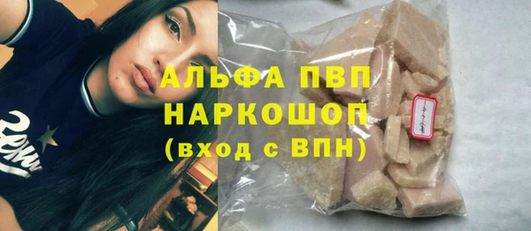 шишки Белоозёрский
