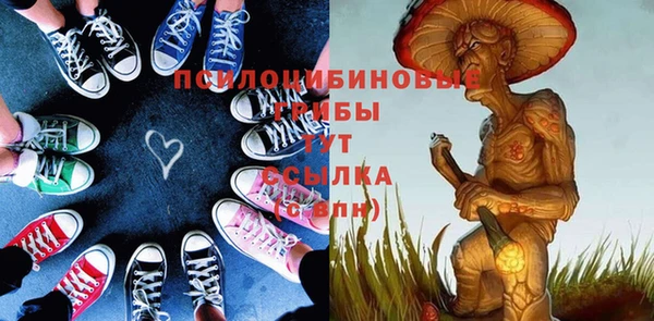 шишки Белоозёрский