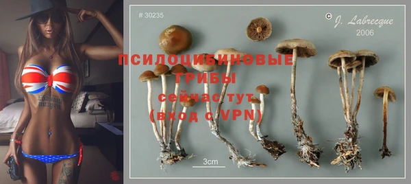 скорость Белокуриха