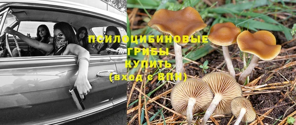 скорость Белокуриха