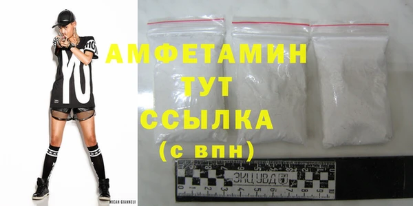шишки Белоозёрский