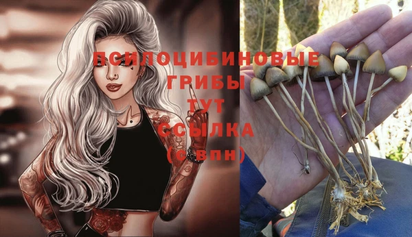 шишки Белоозёрский