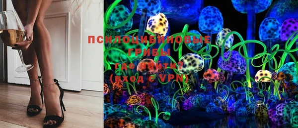тгк Беломорск