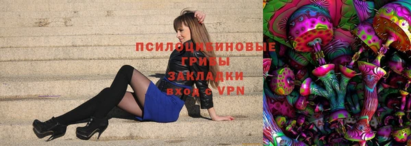 шишки Белоозёрский