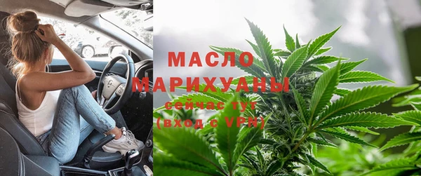 шишки Белоозёрский