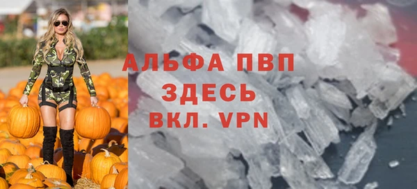 шишки Белоозёрский